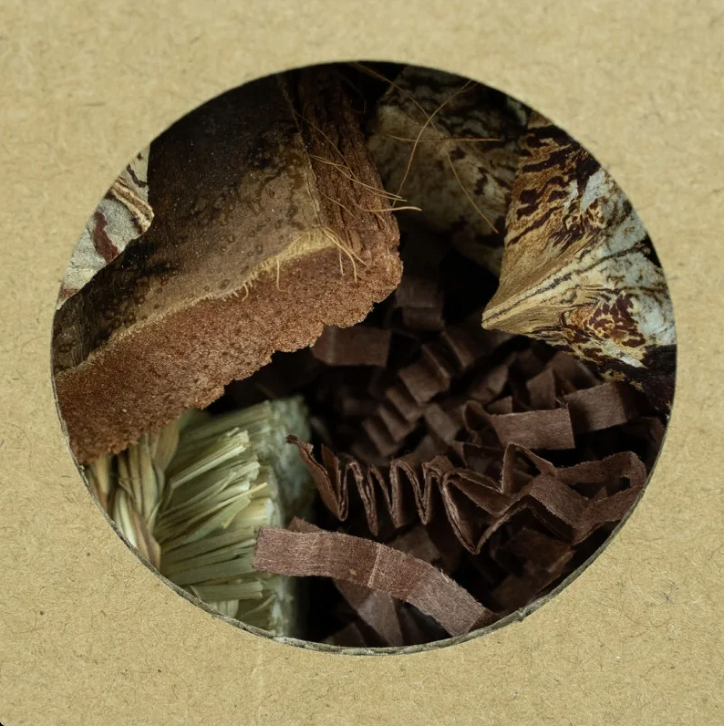 Hexagon Foraging & Play Tunnel