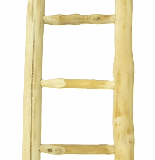 Java Papegaaienladder - 60cm