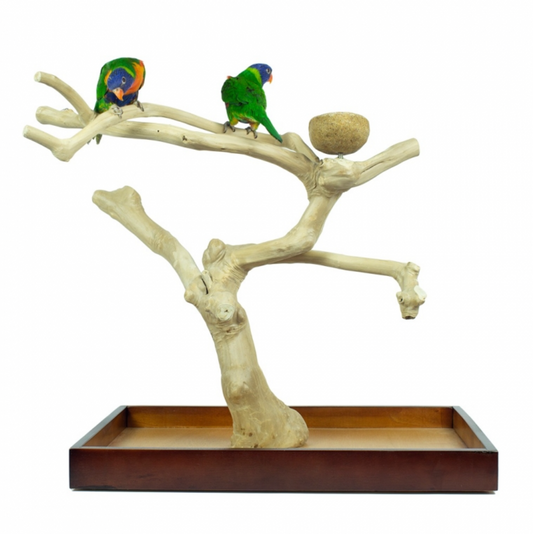 Java Playstand Medium