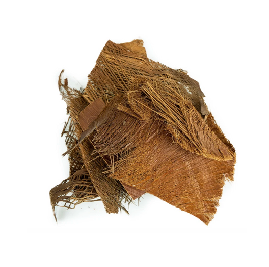 Palm Bark