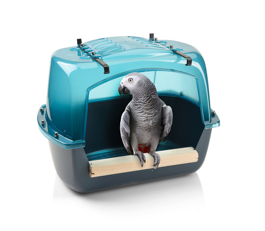 Waterbad Splash Giant