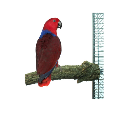 Corky Perch L