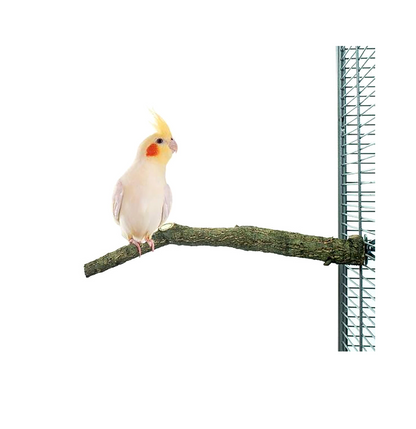 Corky Perch S