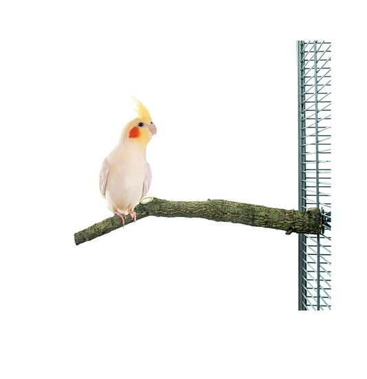 Corky Perch S