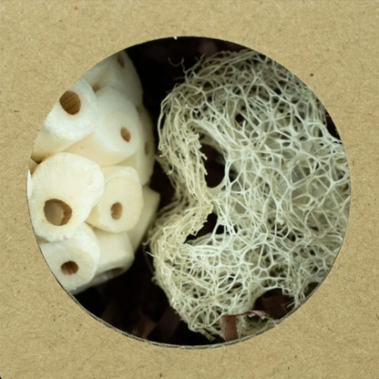 Hexagon Foraging & Play Tunnel