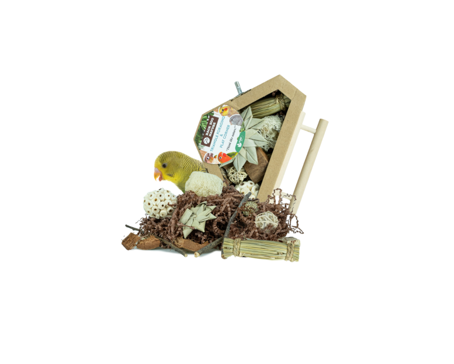 Triangle Foraging & Play Corner