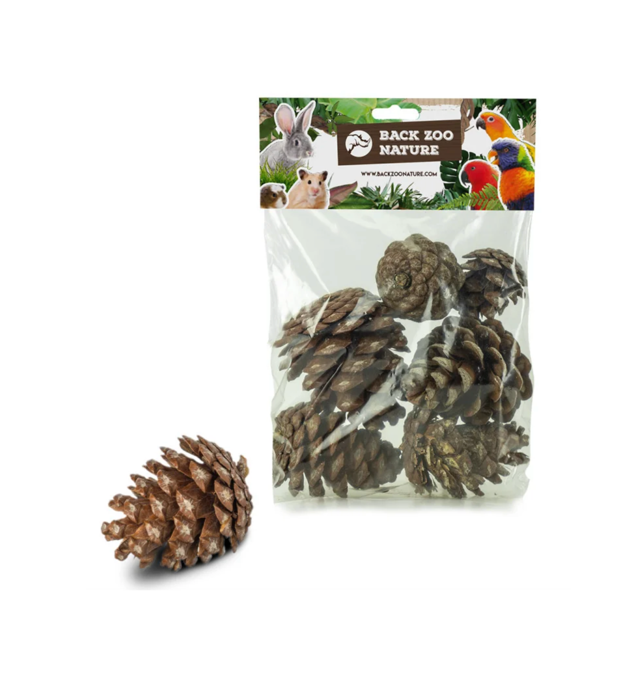 Forest Pine Cones