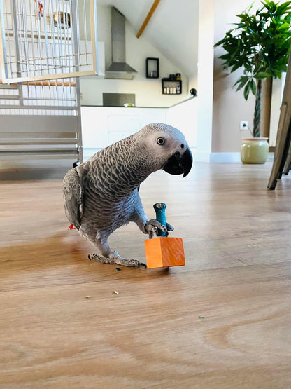 Hamertje