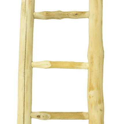 Java Papegaaienladder - 60cm
