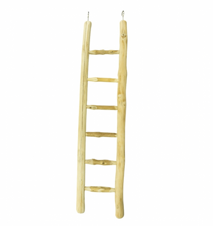 Java Papegaaienladder - 60cm