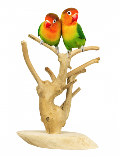Java Playstand Mini