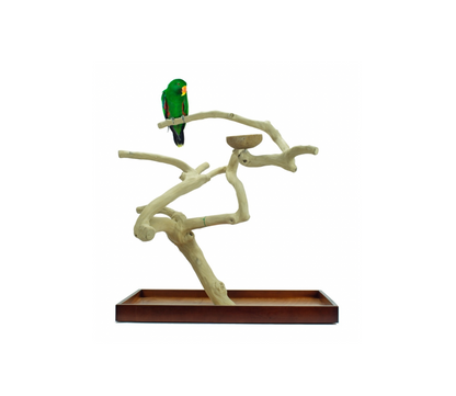 Java Playstand Large