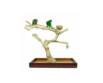 Java Playstand Medium