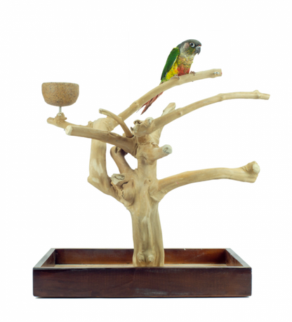 Java Playstand Small