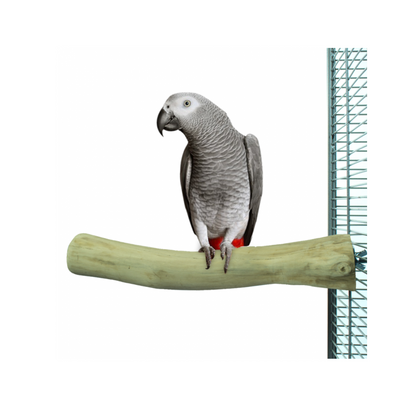 Java Single Perch L