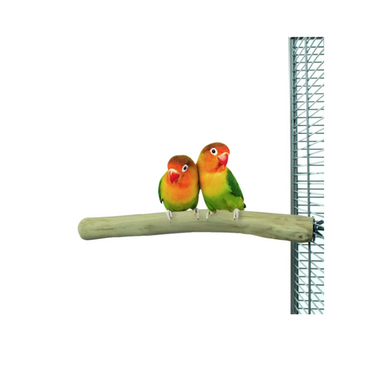 Java Single Perch S