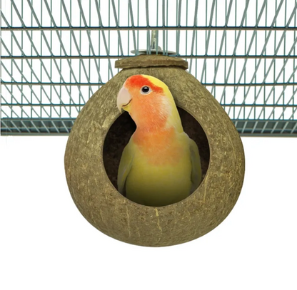 Kokosnoot Huisje