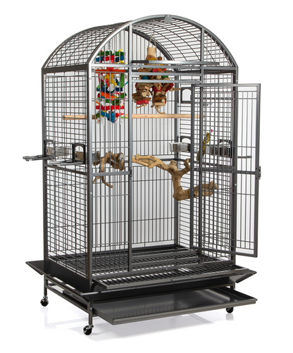 Montana Castell Dome Antiek