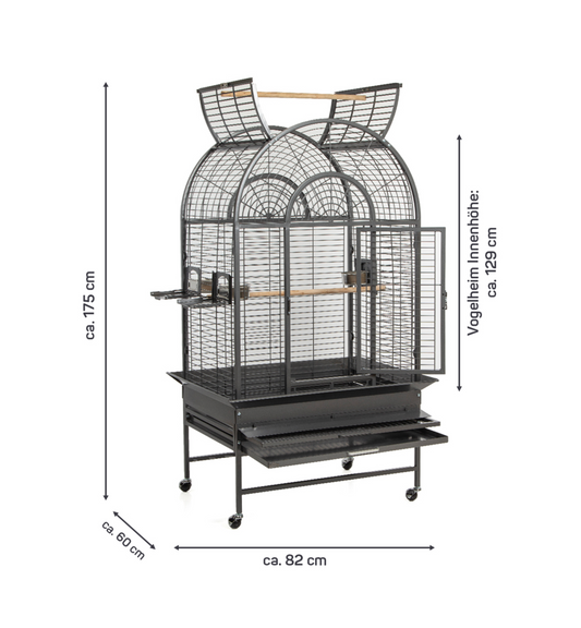 Montana New Jersey Antiek
