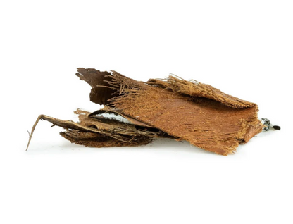 Palm Bark