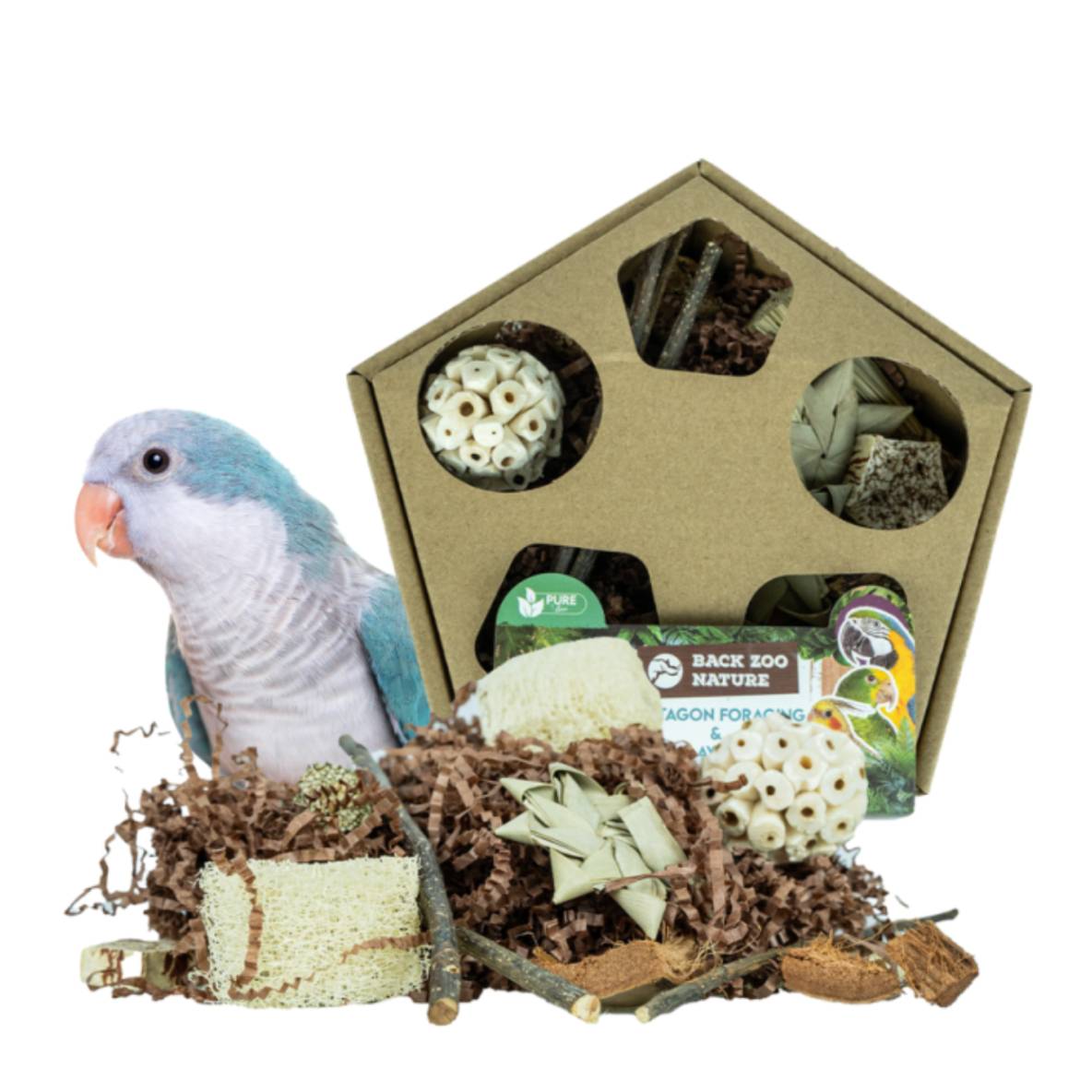 Pentagon Foraging & Play Box
