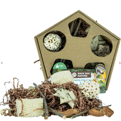 Pentagon Foraging & Play Box
