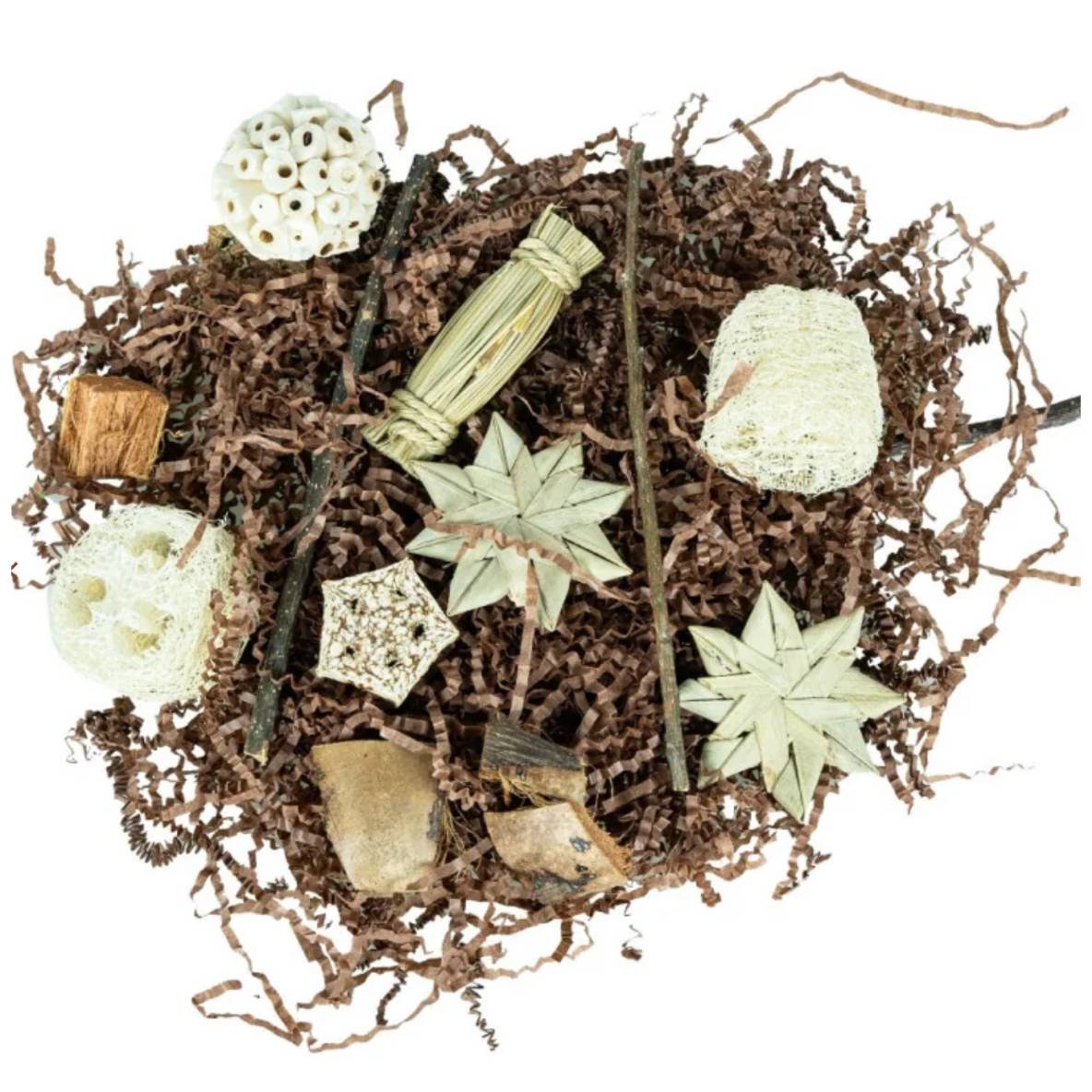 Pentagon Foraging & Play Box