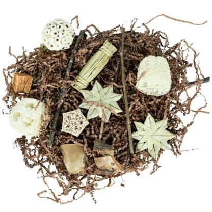 Pentagon Foraging & Play Box