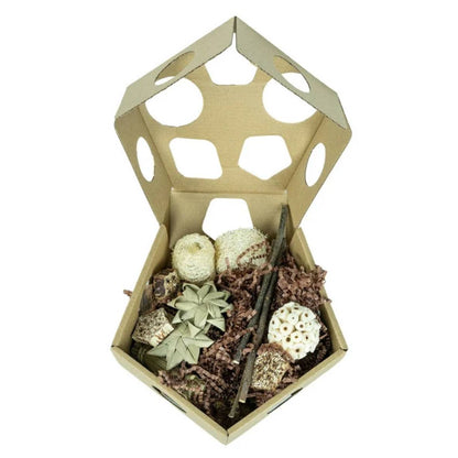 Pentagon Foraging & Play Box