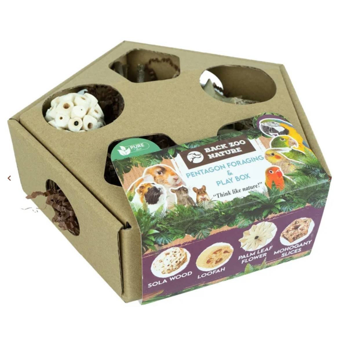 Pentagon Foraging & Play Box