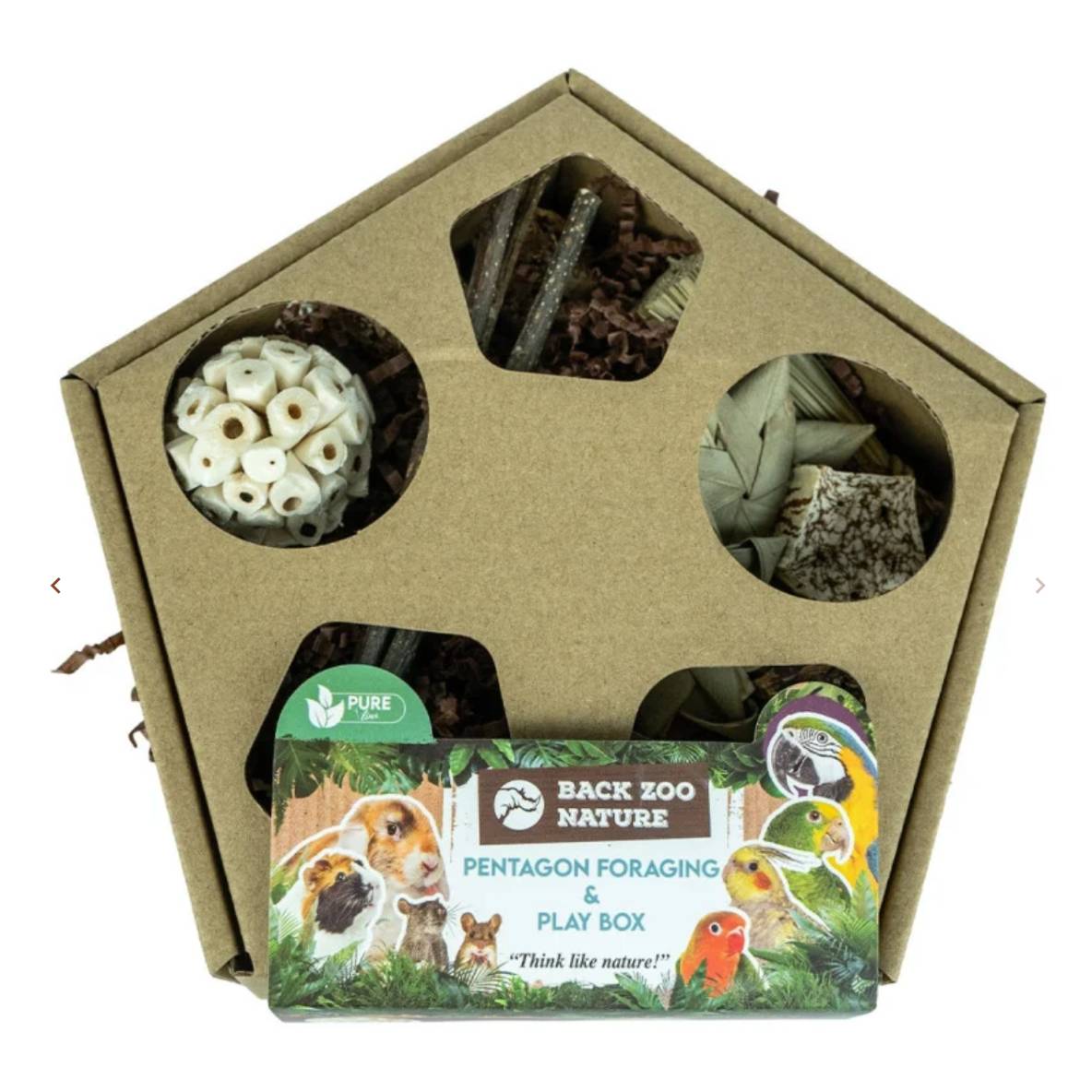 Pentagon Foraging & Play Box