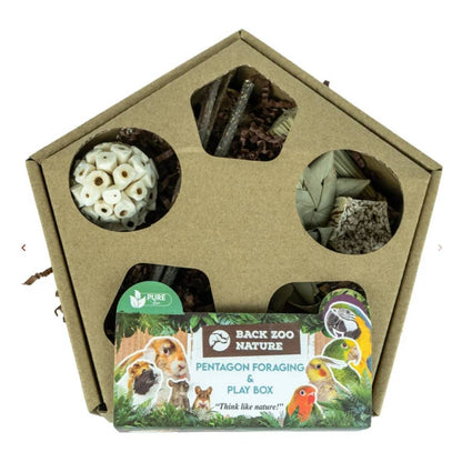 Pentagon Foraging & Play Box