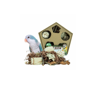 Pentagon Foraging & Play Box