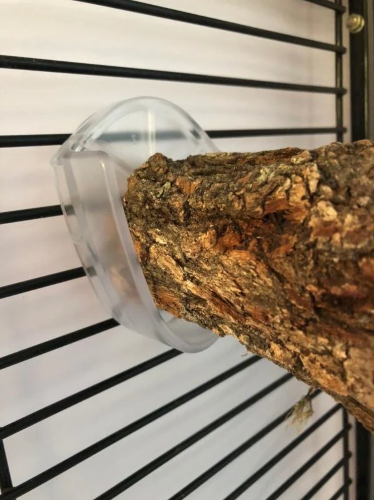 Easy Perch Holder L