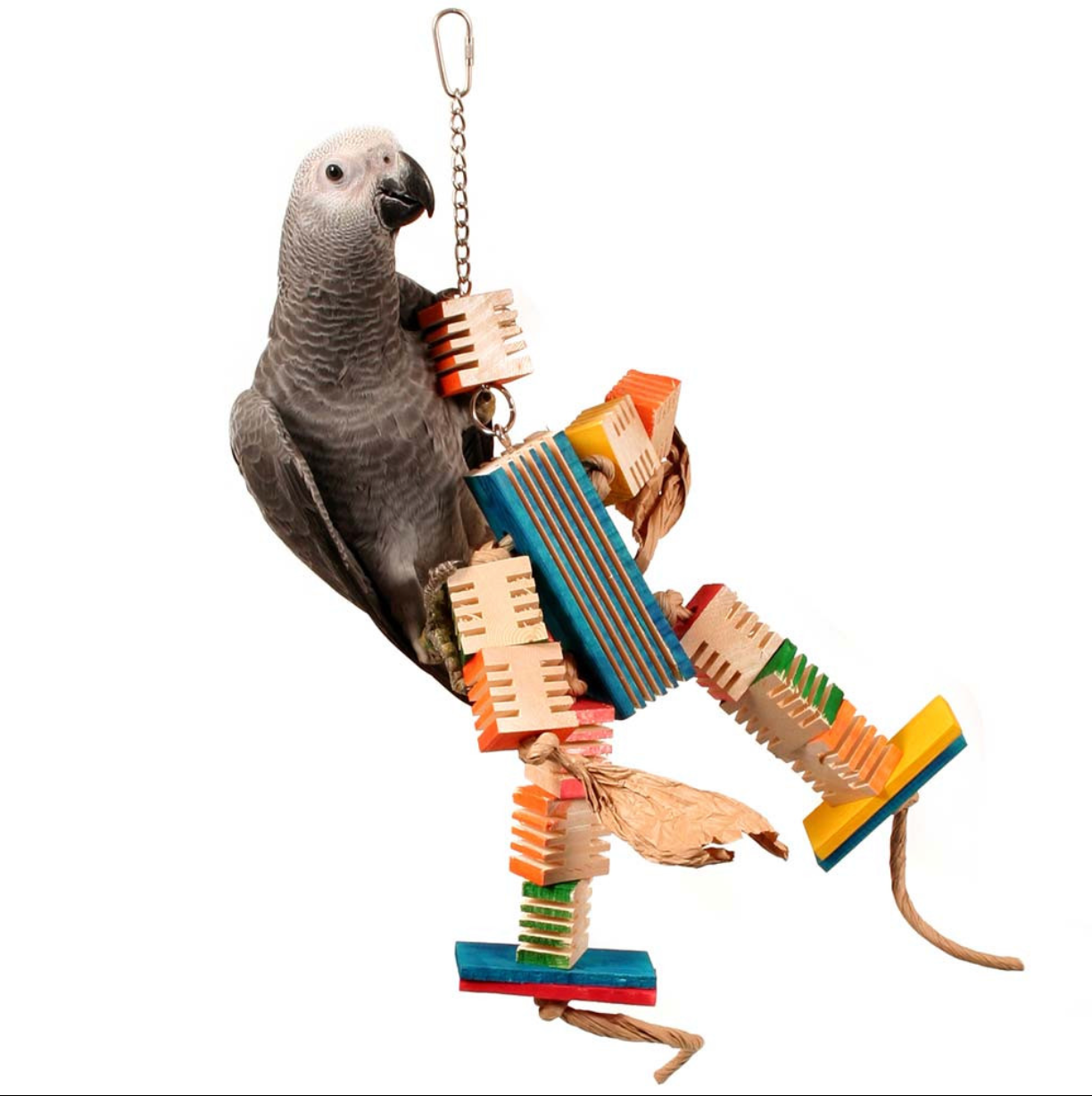 Groovy Dancer