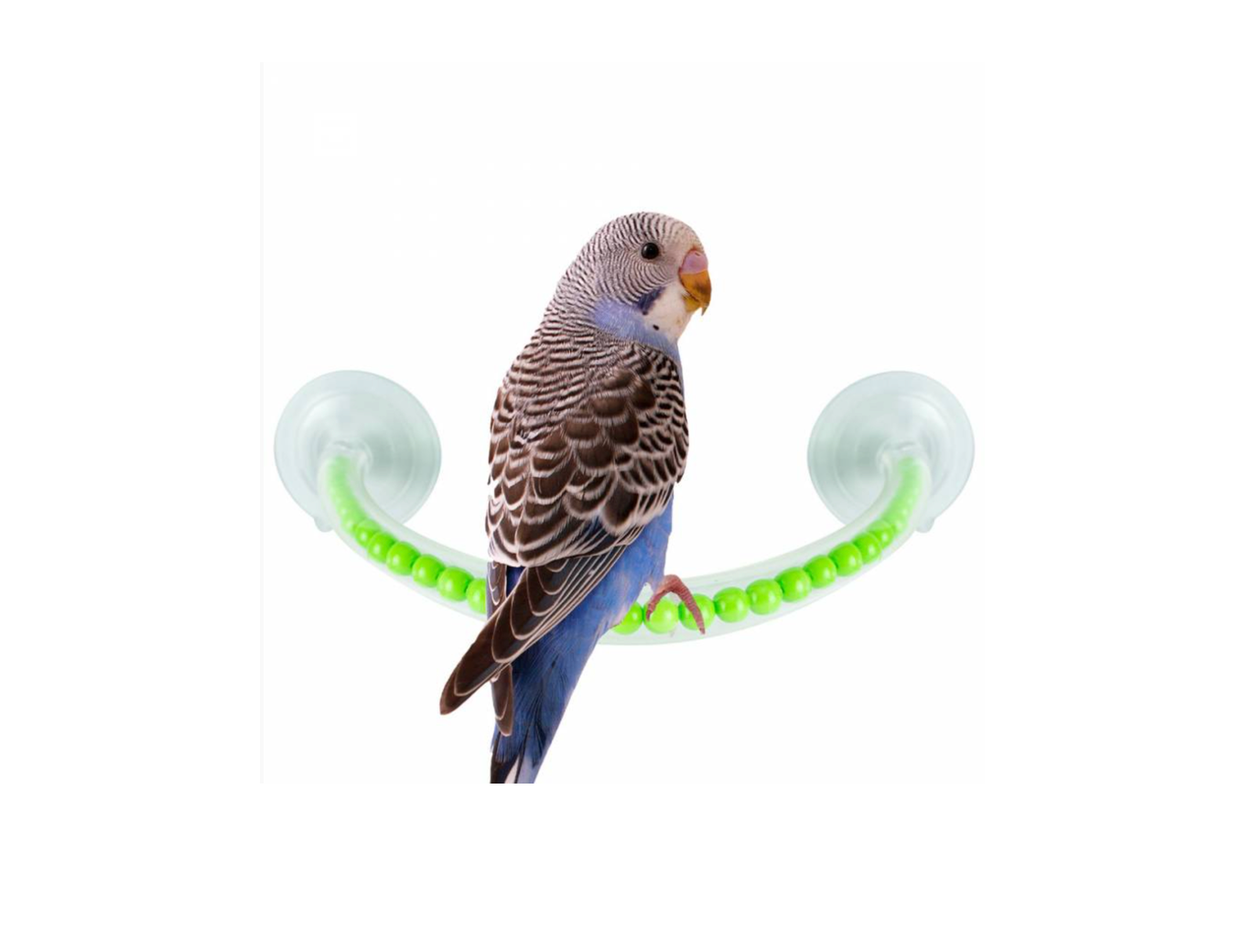 Shower Perch S