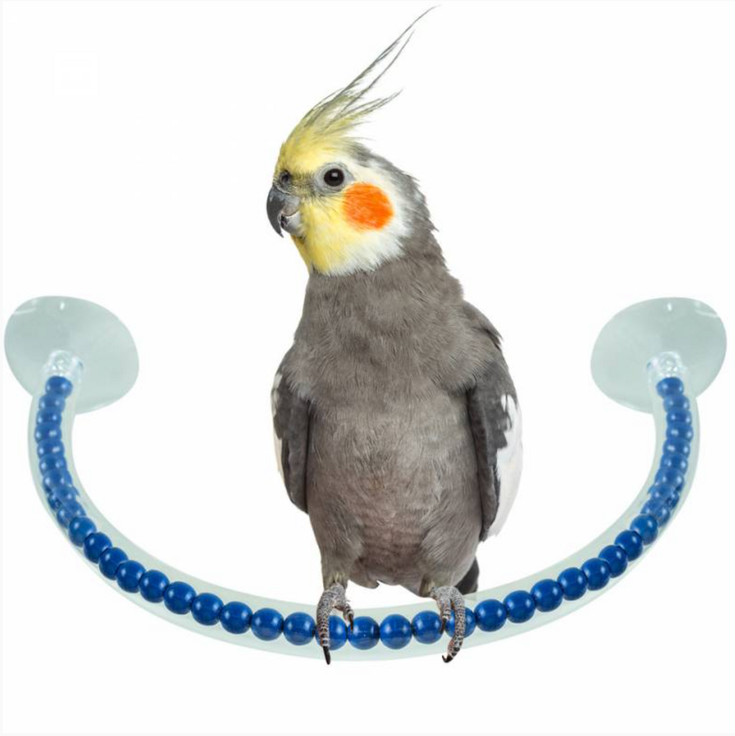 Shower Perch M
