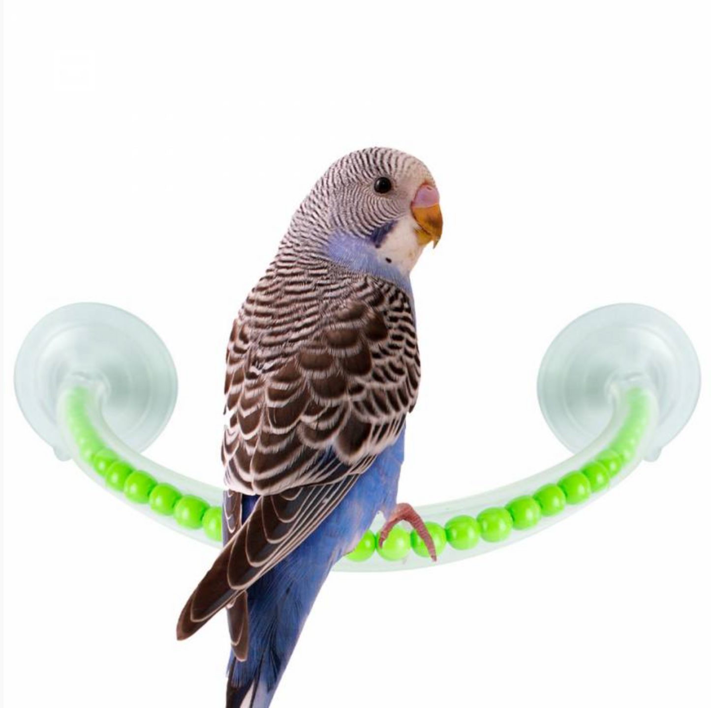 Shower Perch S