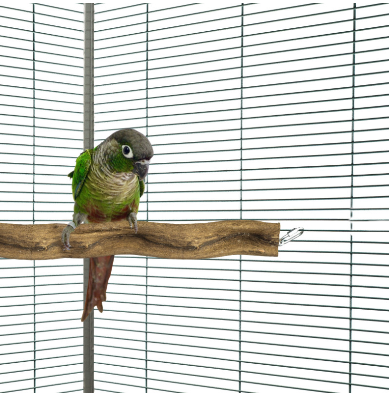Snake Perch M