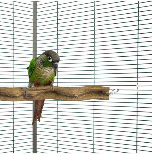 Snake Perch M
