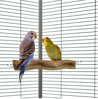 Snake Perch S