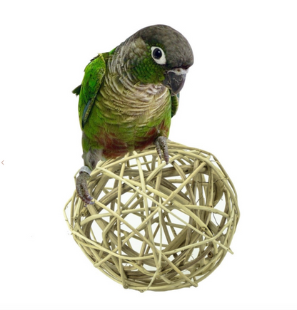 Treat Ball Giant