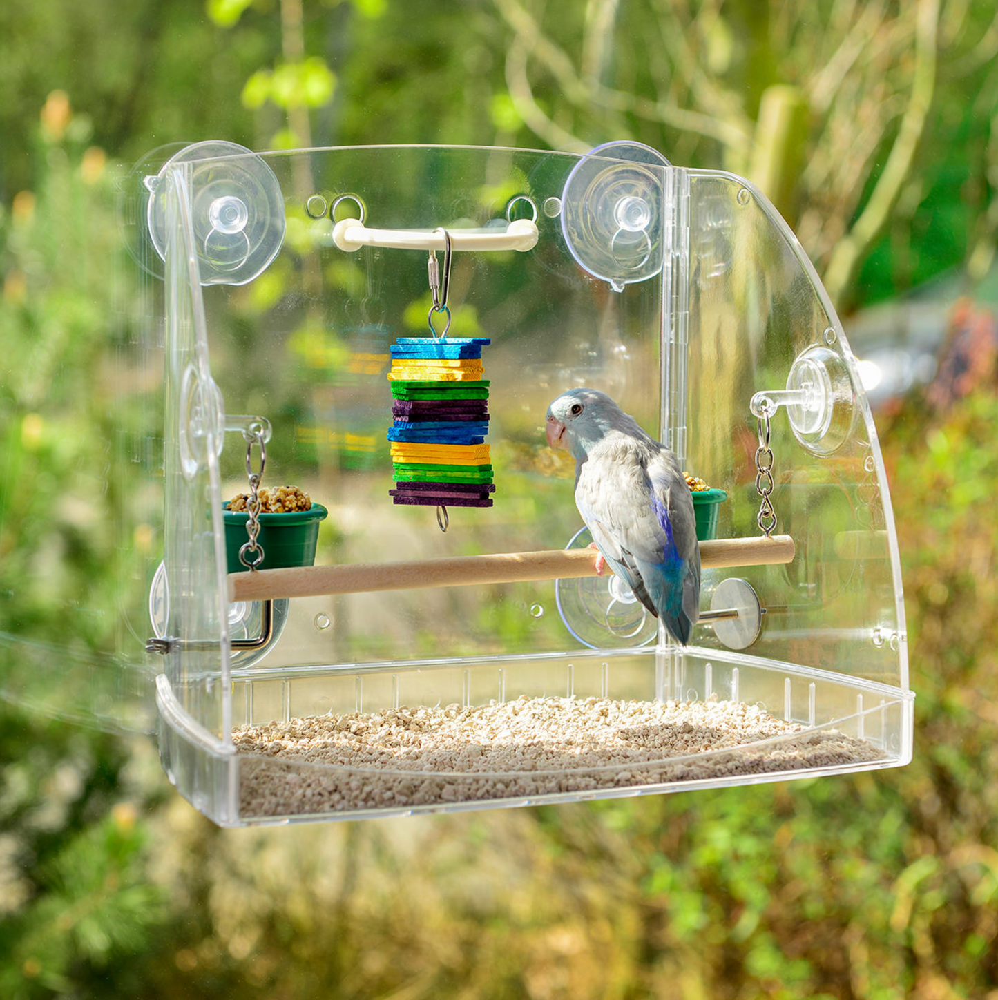 Bird Window Playcenter