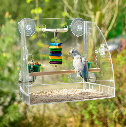 Bird Window Playcenter