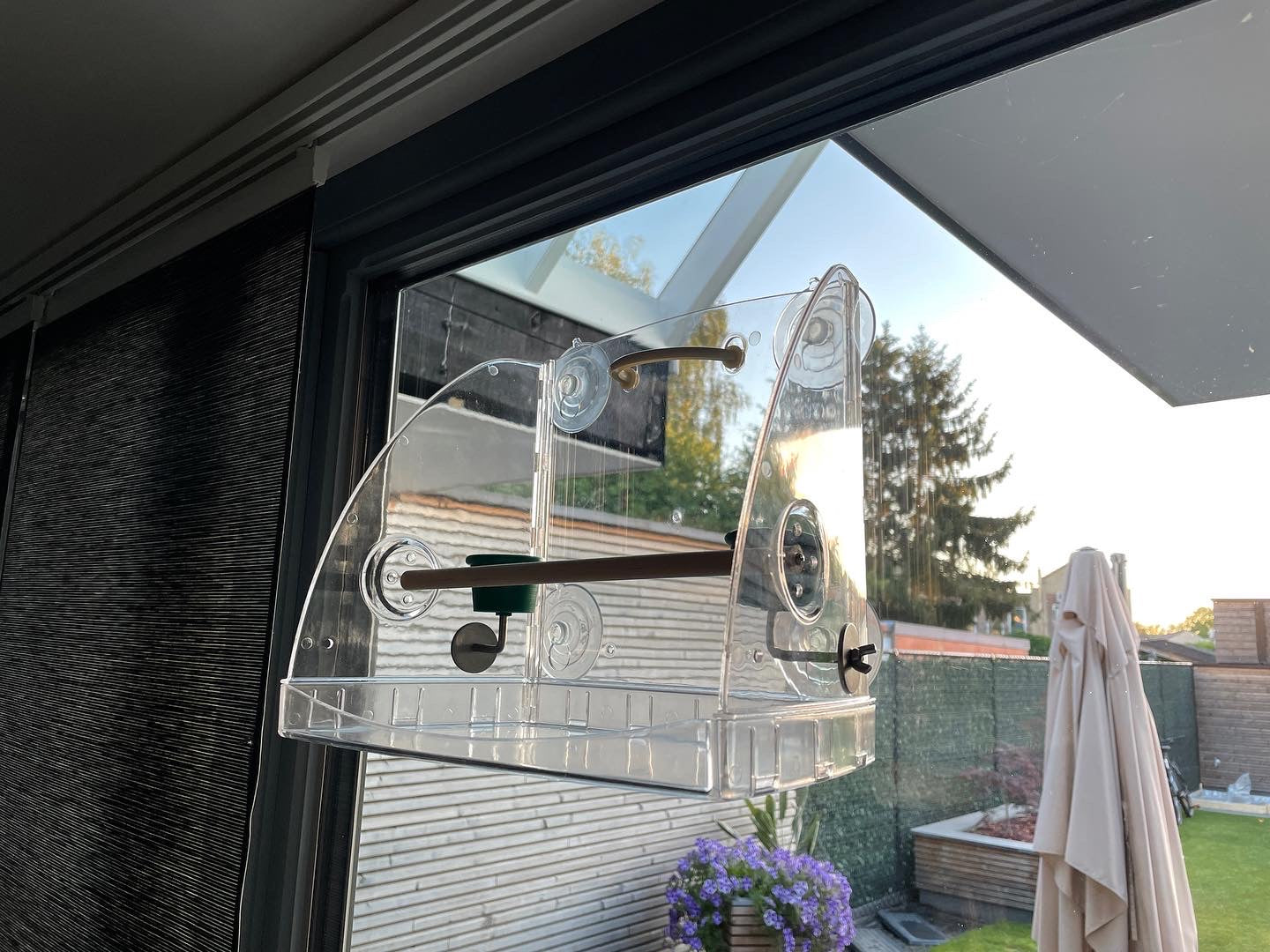 Bird Window Playcenter