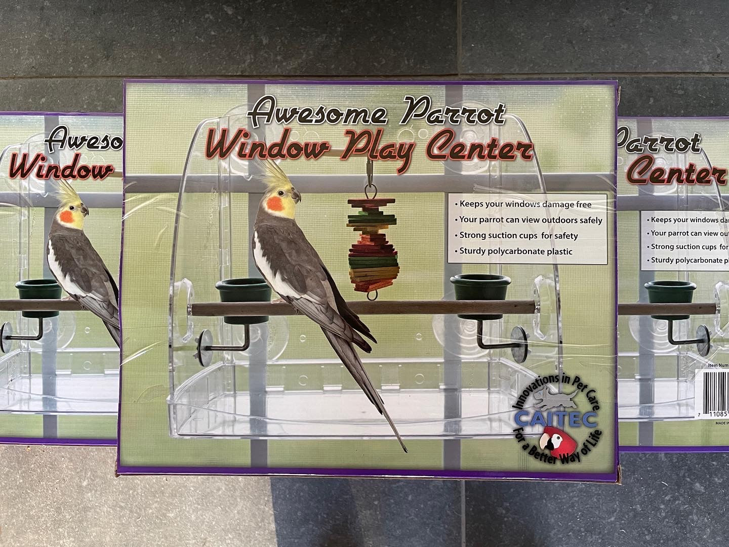 Bird Window Playcenter